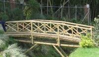 puente 10.jpg